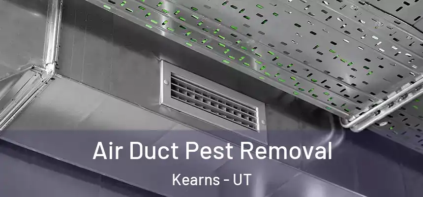  Air Duct Pest Removal Kearns - UT