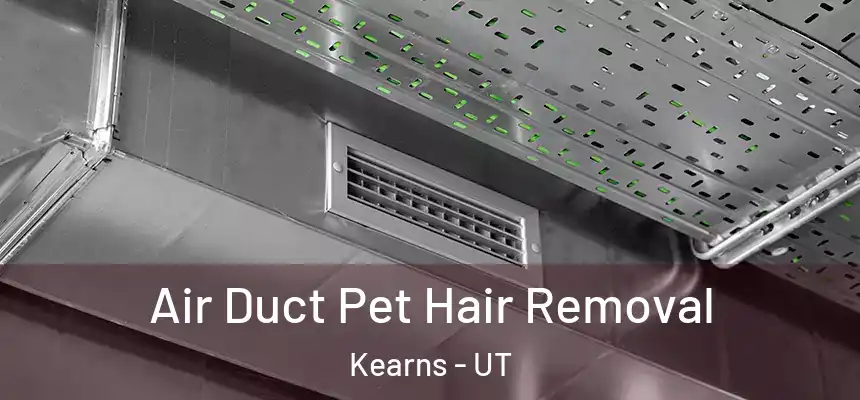 Air Duct Pet Hair Removal Kearns - UT