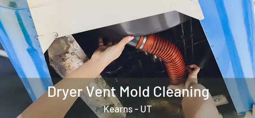  Dryer Vent Mold Cleaning Kearns - UT
