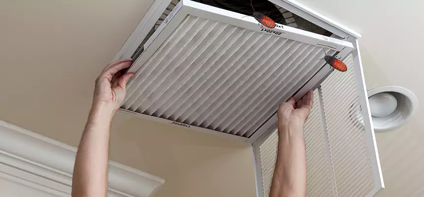 Preventive Cockroach-Proofing for Ducts in Kearns