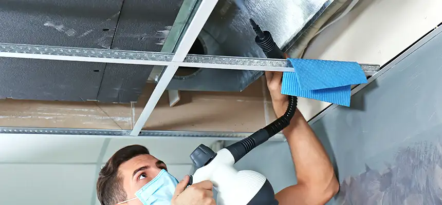 Our Air Duct Rodent Removal Services in Kearns, UT
