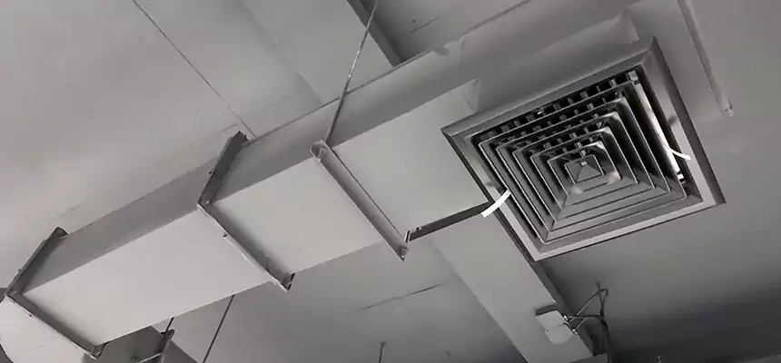 Our Pest Removal From Ducts Services in Kearns, UT