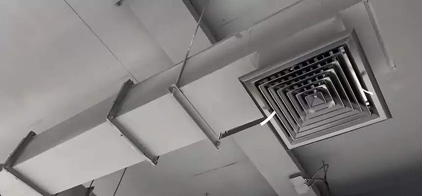 Our Rodent Droppings In Vents Services in Kearns, UT