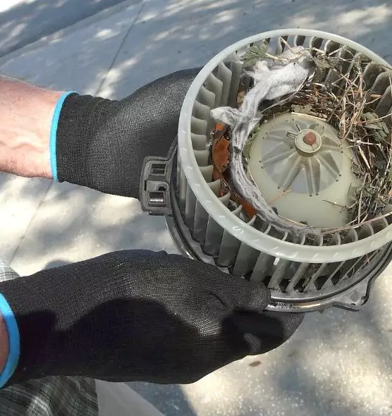 About Air Duct Mice Removal in Kearns, UT