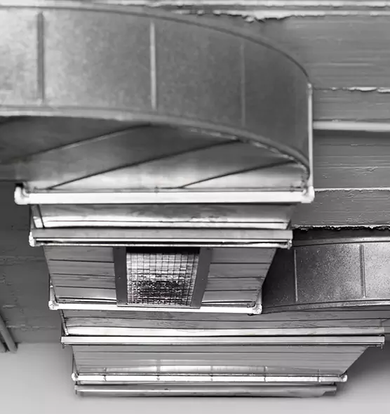 Professional Air Duct Pet Hair Removal in Kearns, UT