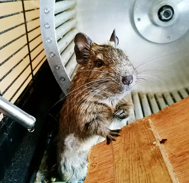 Why Homeowners & Businesses Trust Us Kearns, UT